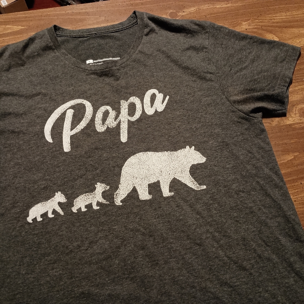 PAPA BEAR T-SHIRT - Large // Cute Father's Day tee shirt kids baby dad gift